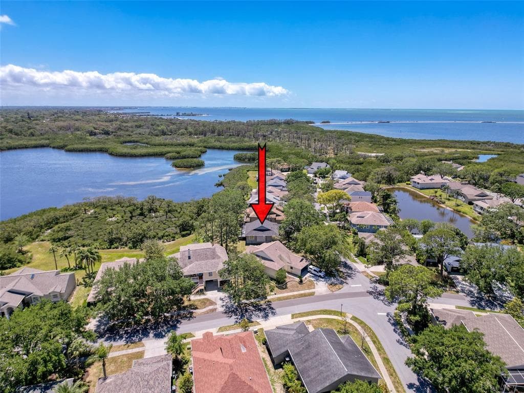 1003 TEAL POINTE TARPON SPRINGS, FL 34689