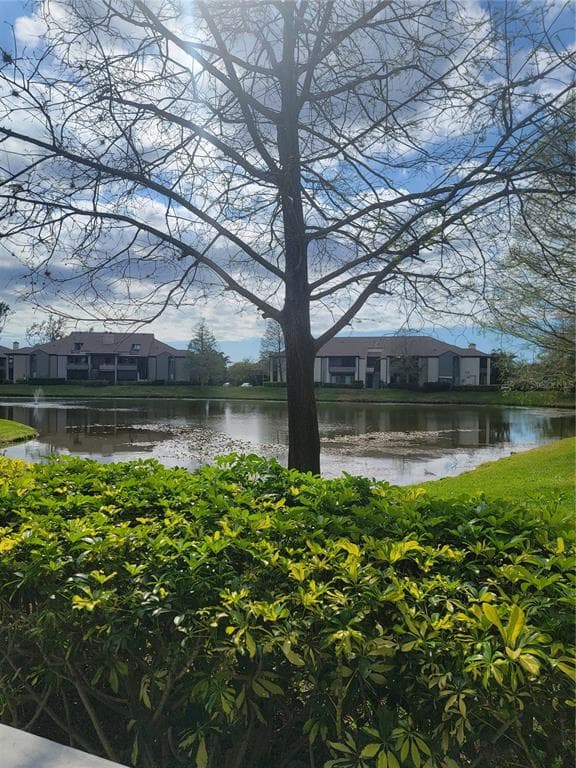 10265 GANDY BOULEVARD N UNIT 711 ST PETERSBURG, FL 33702