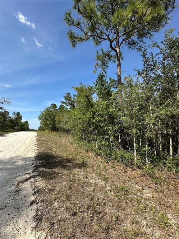 14106 EASTERN PHOEBE ROAD BROOKSVILLE, FL 34614