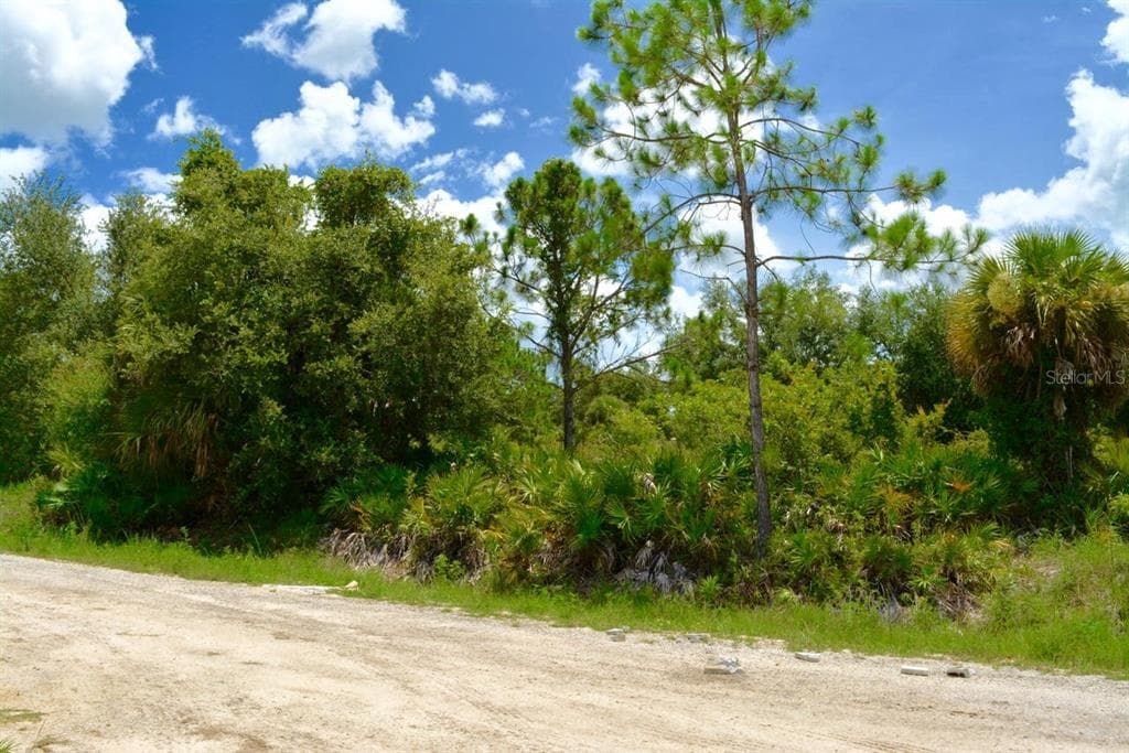 410 THOMPSON AVENUE LEHIGH ACRES, FL 33972