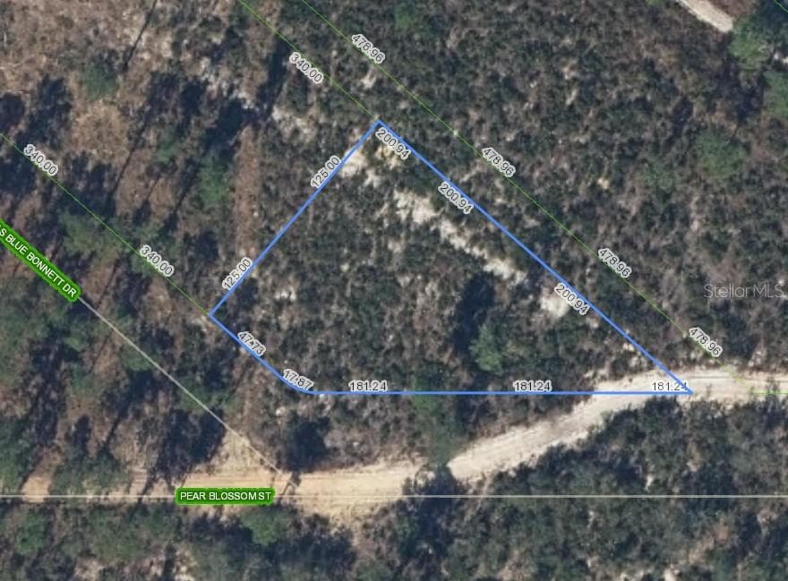 6115 PEAR BLOSSOM STREET SEBRING, FL 33876
