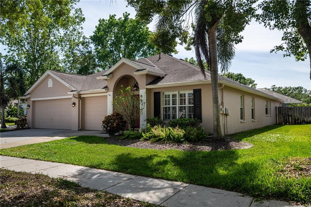 10333 ABBOTSFORD DRIVE TAMPA, FL 33626