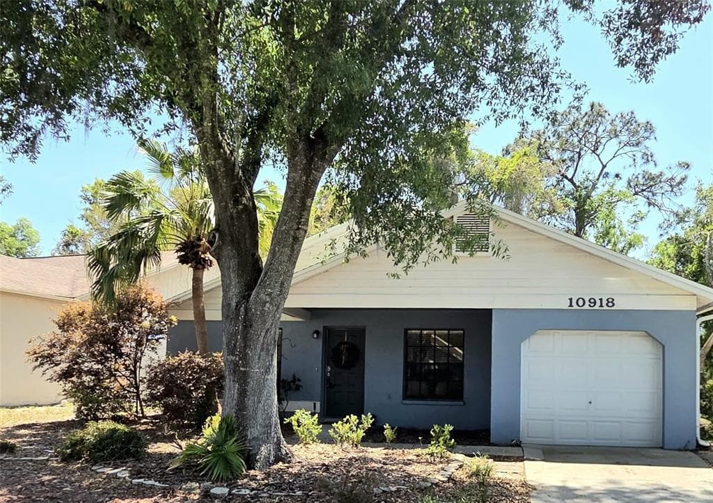 10918 FREEMONT DRIVE NEW PORT RICHEY, FL 34654