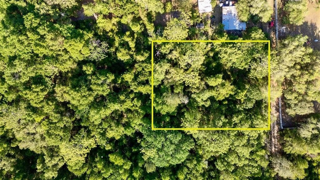 000 NE 206 STREET FORT MC COY, FL 32134
