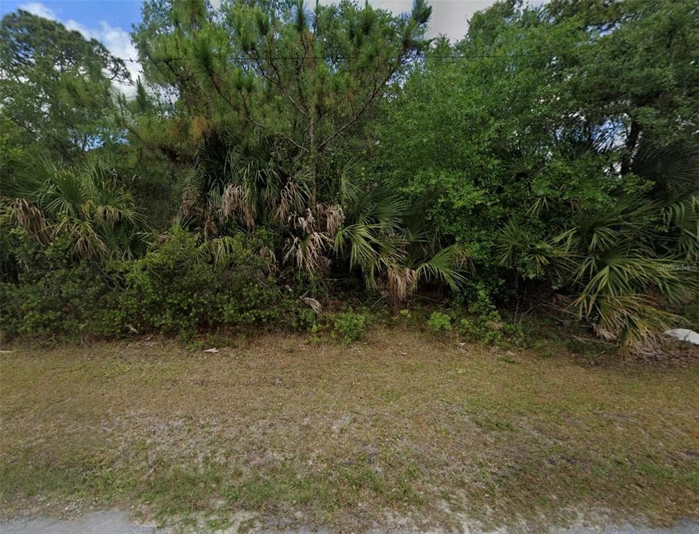 1239 FURMAN STREET PORT CHARLOTTE, FL 33953