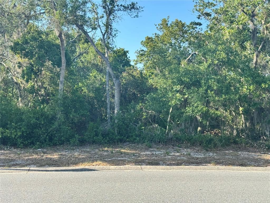 6111 WATERS WAY WEEKI WACHEE, FL 34607