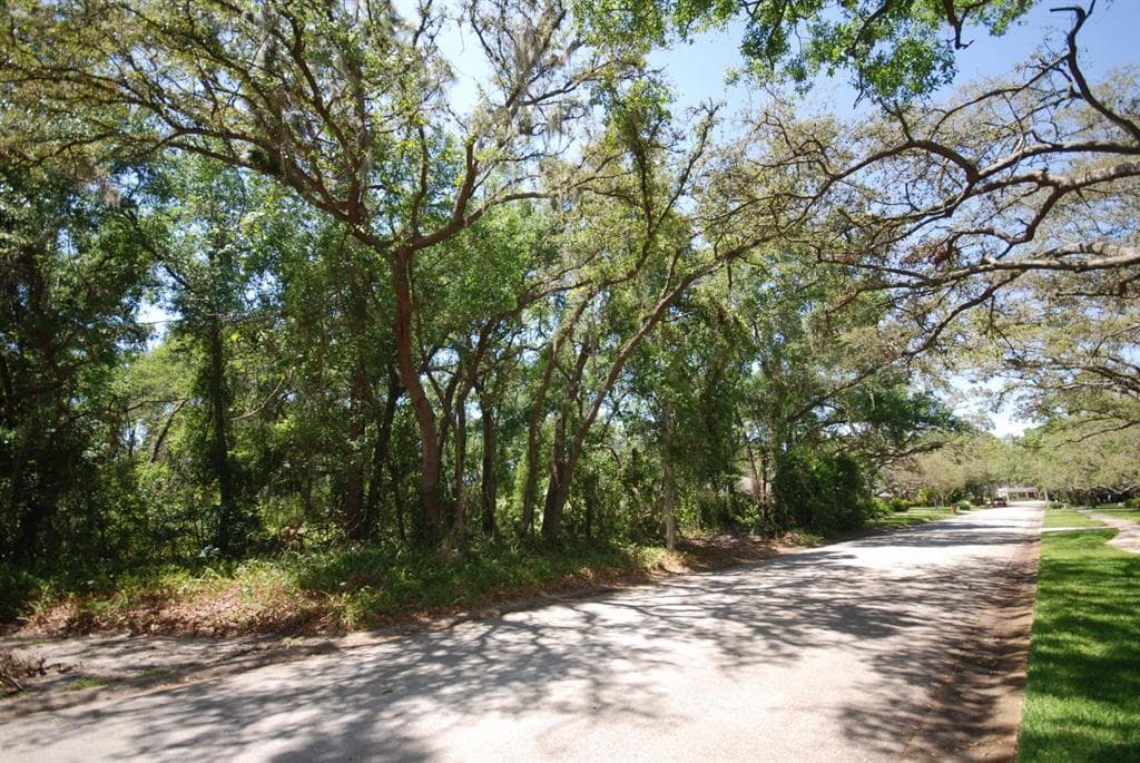 2905 CHELSEA WOODS DRIVE VALRICO, FL 33596