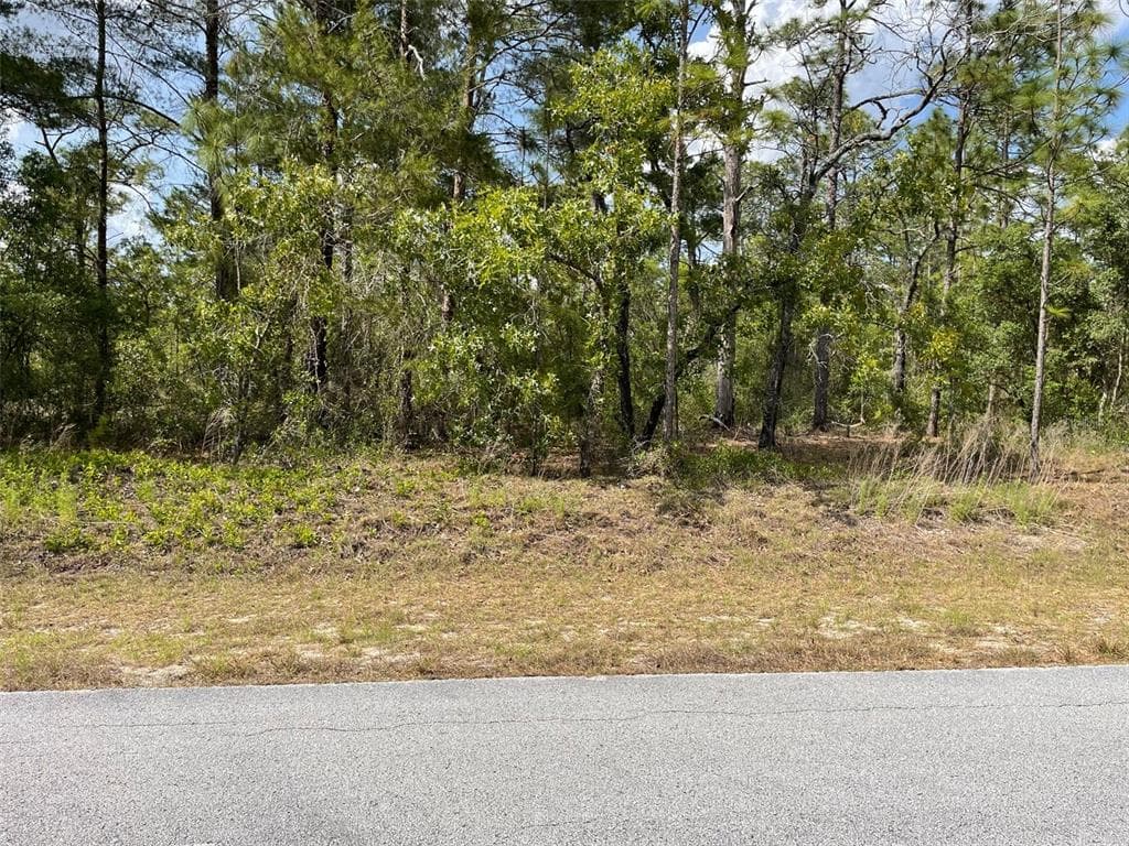 LOTS 29, 30 SW ANCHOR BOULEVARD DUNNELLON, FL 34431