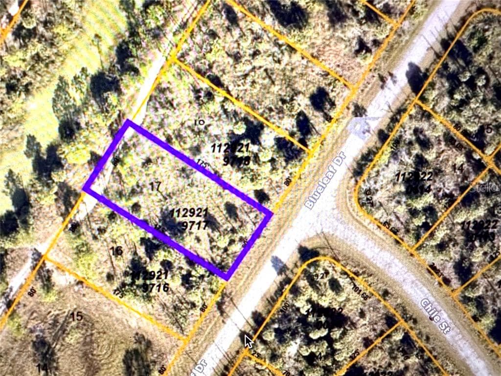 BLUELEAF DRIVE NORTH PORT, FL 34288