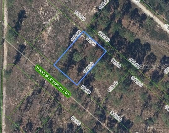 6139 TEXAS BLUE BONNETT DRIVE SEBRING, FL 33876