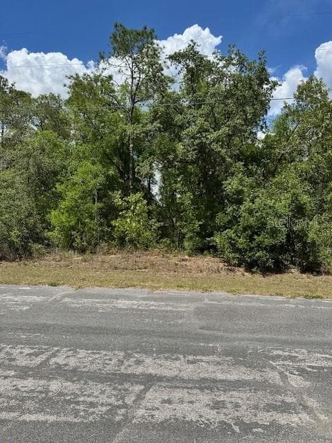 2235 W SUMMER PLACE DUNNELLON, FL 34434