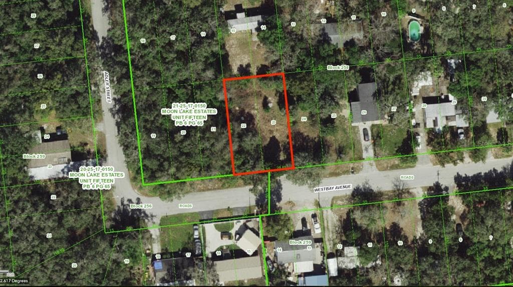 12015 WESTBAY AVENUE NEW PORT RICHEY, FL 34654