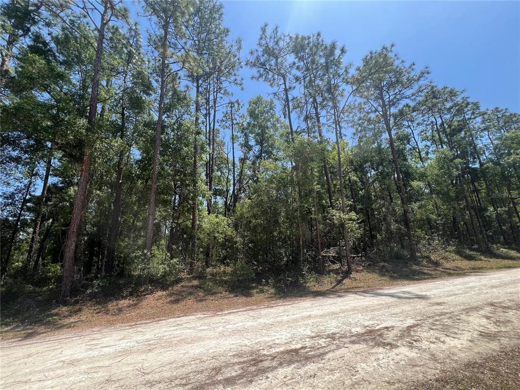 OCTAVIA LANE WEBSTER, FL 33597