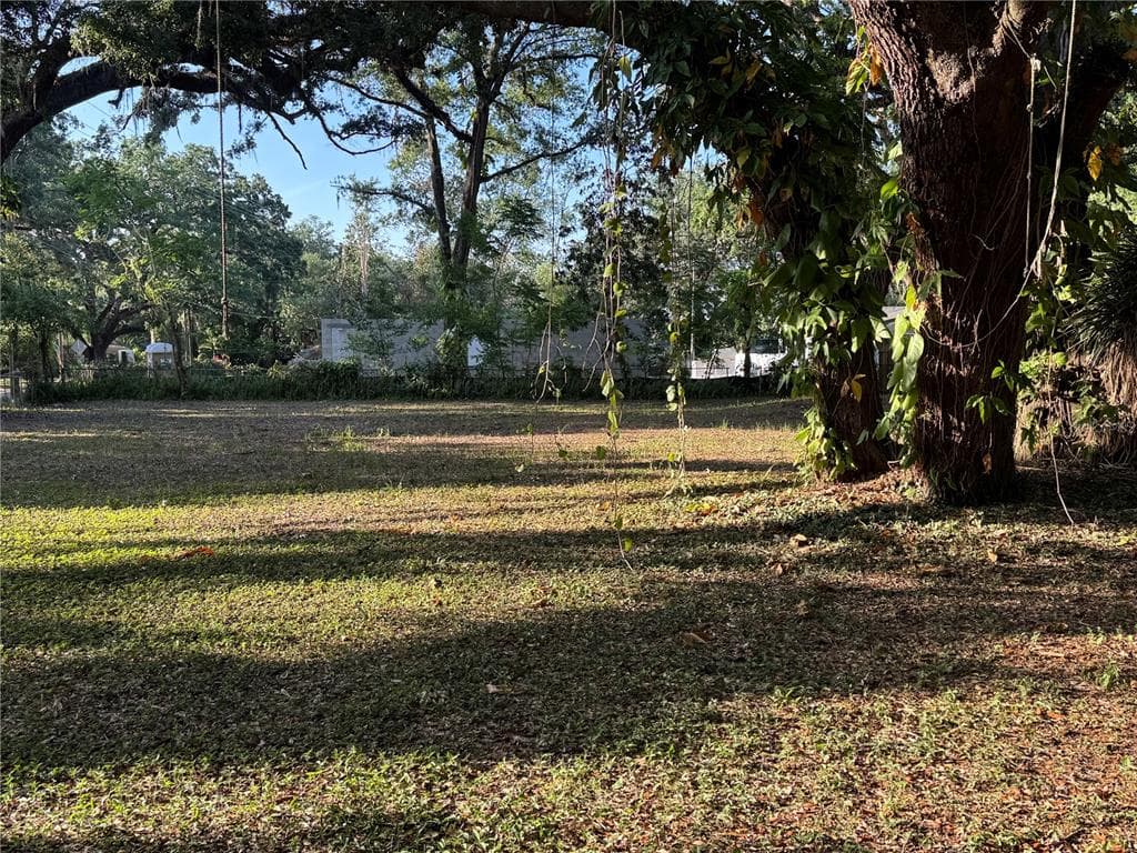 14711 N 30TH STREET LUTZ, FL 33559