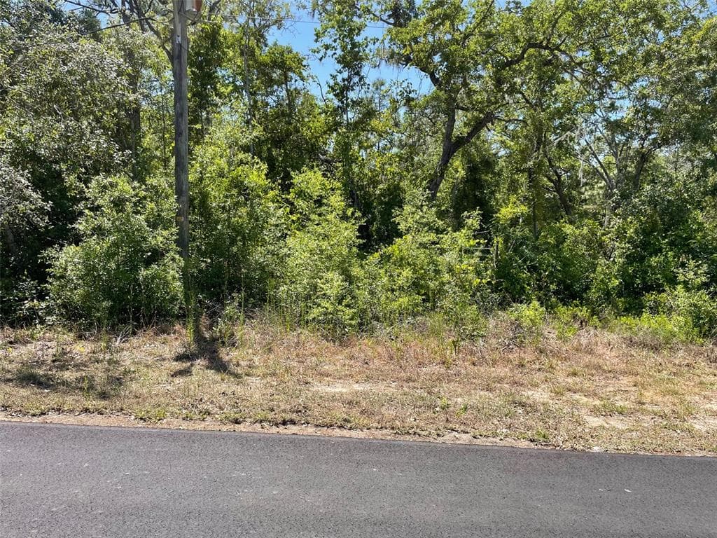 5437 W CINNAMON RIDGE DRIVE LECANTO, FL 34461