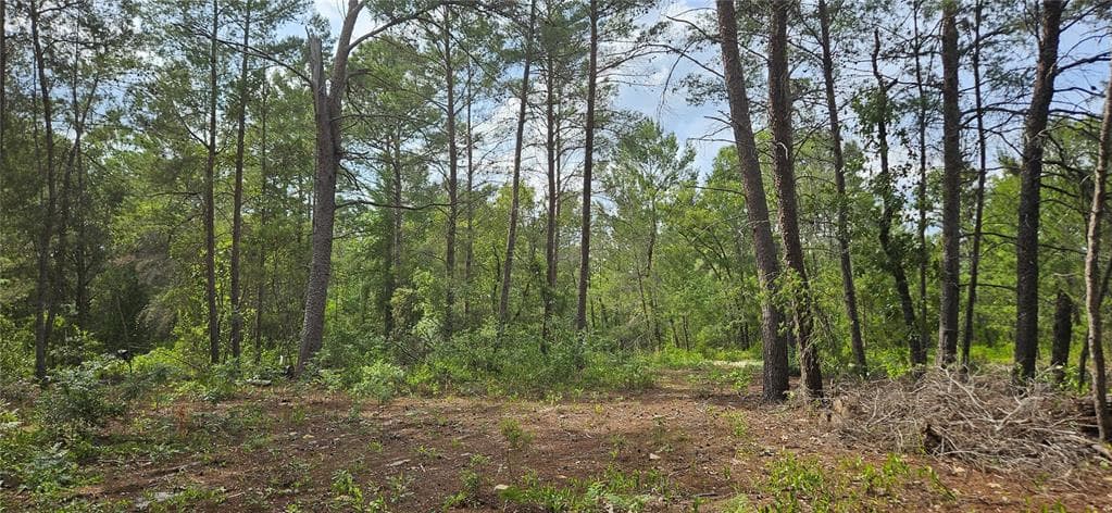 6283 BOWDOIN AVENUE KEYSTONE HEIGHTS, FL 32656