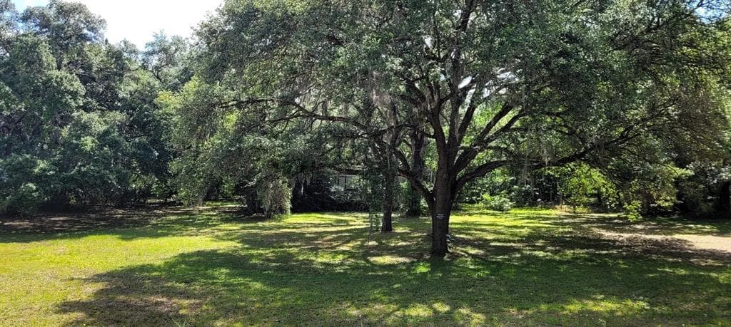 17912 GREENSBORO STREET SPRING HILL, FL 34610