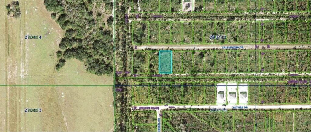 CALLIANDRA DRIVE INDIAN LAKE ESTATES, FL 33855