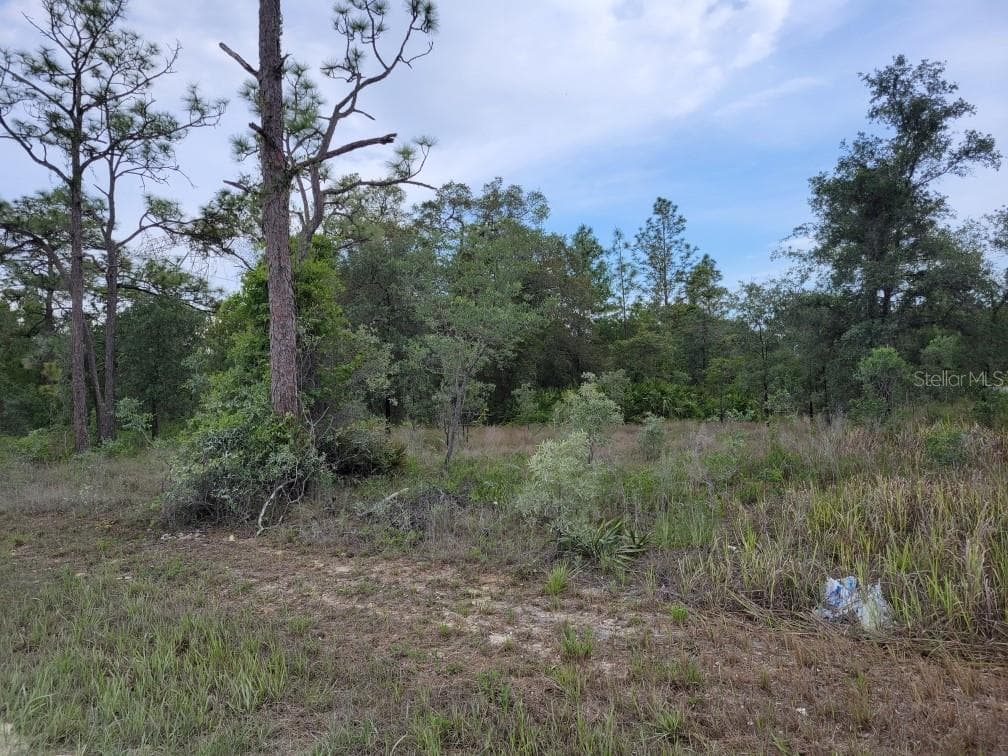 CEDARWOOD AVENUE WEEKI WACHEE, FL 34614