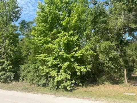 Lots 551-559 HAWTHORNE STREET ZEPHYRHILLS, FL 33540