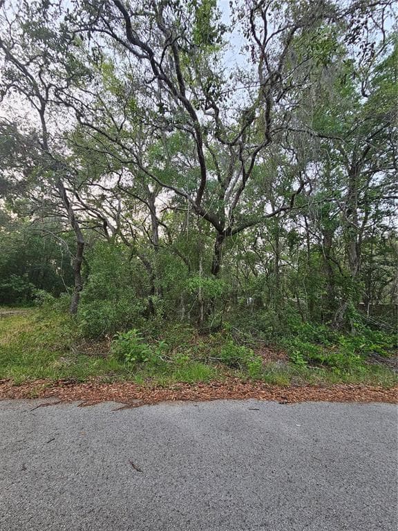 00 DOAKS STREET NEW PORT RICHEY, FL 34654