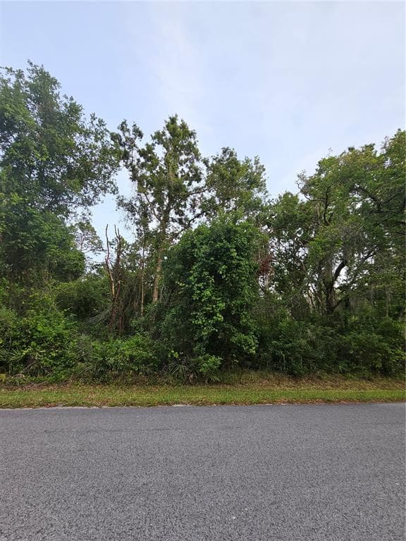 00 GURNEE AVENUE NEW PORT RICHEY, FL 34654