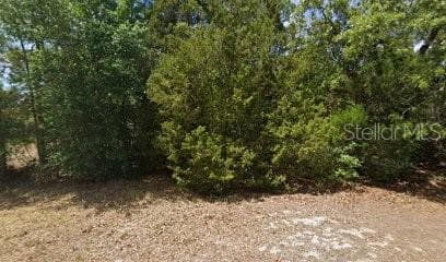2672 S WILLOW TERRACE HOMOSASSA, FL 34448