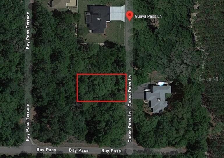 1484928 GUAVA PASS LANE OCKLAWAHA, FL 32179