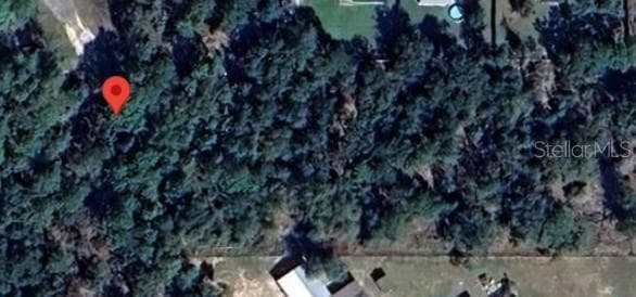 91st SE COURT ROAD SUMMERFIELD, FL 34491