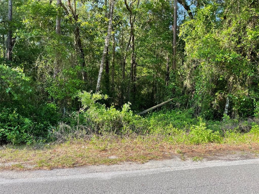 LOT 13 SW NAUTILUS BOULEVARD DUNNELLON, FL 34431