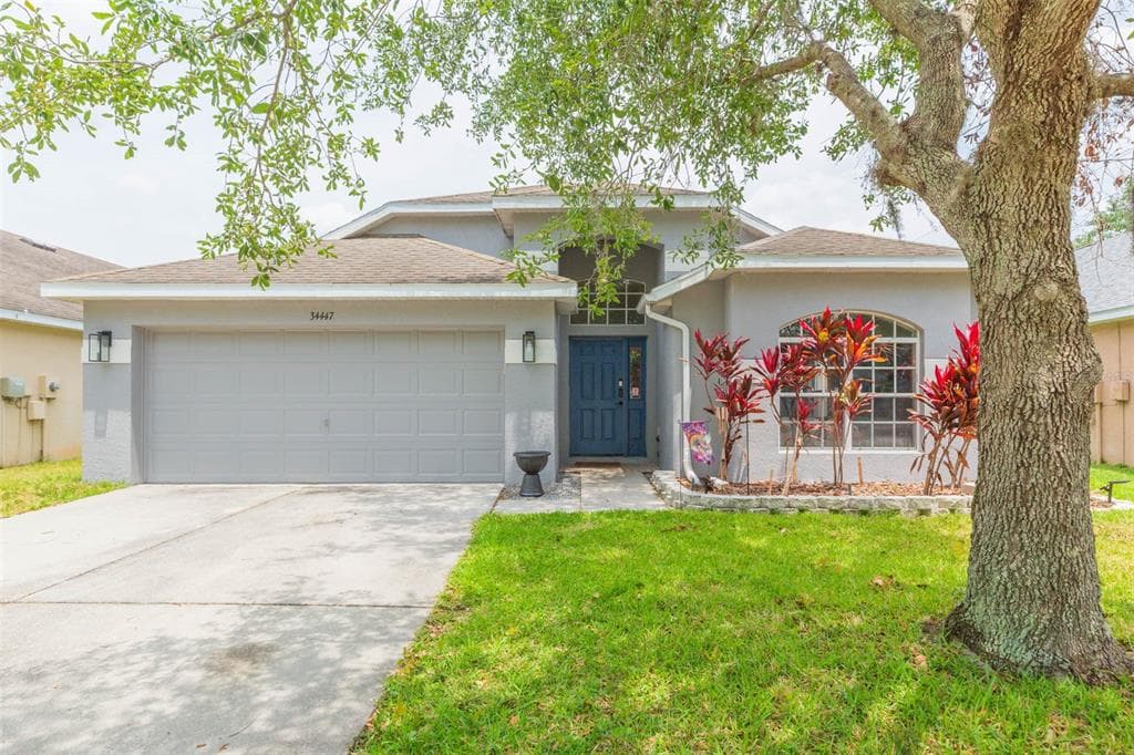 34447 BLUE ASH COURT WESLEY CHAPEL, FL 33545