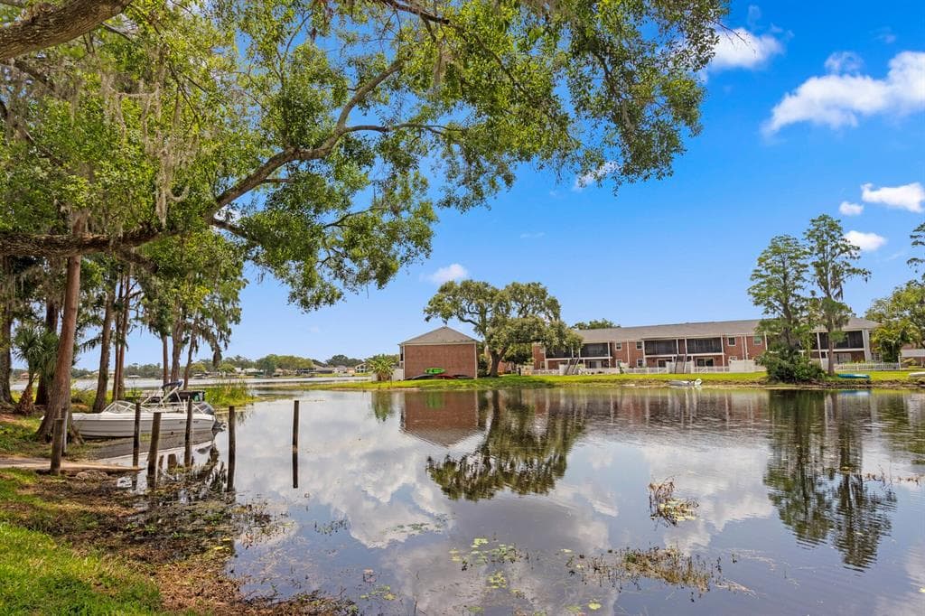 13751 JUNIPER BLOSSOM DRIVE TAMPA, FL 33618