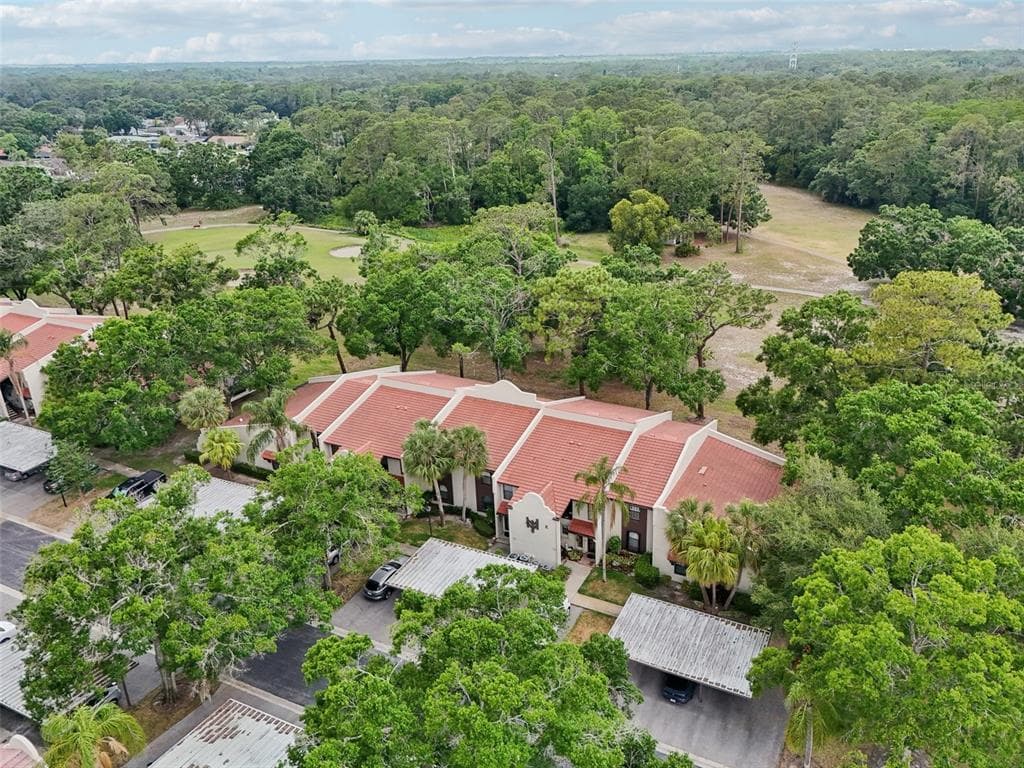 3505 TARPON WOODS BOULEVARD UNIT K409 PALM HARBOR, FL 34685