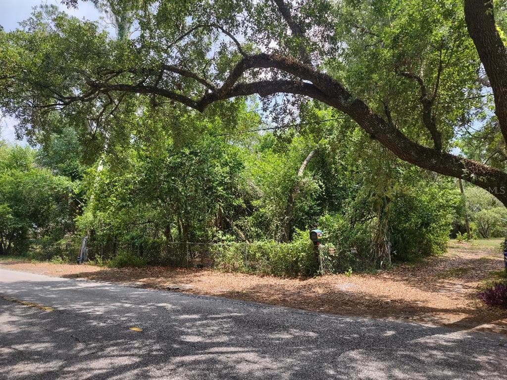 1819 SINCLAIR HILLS ROAD LUTZ, FL 33549