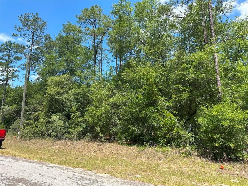 1571 W ALEXANDER DRIVE CITRUS SPRINGS, FL 34434