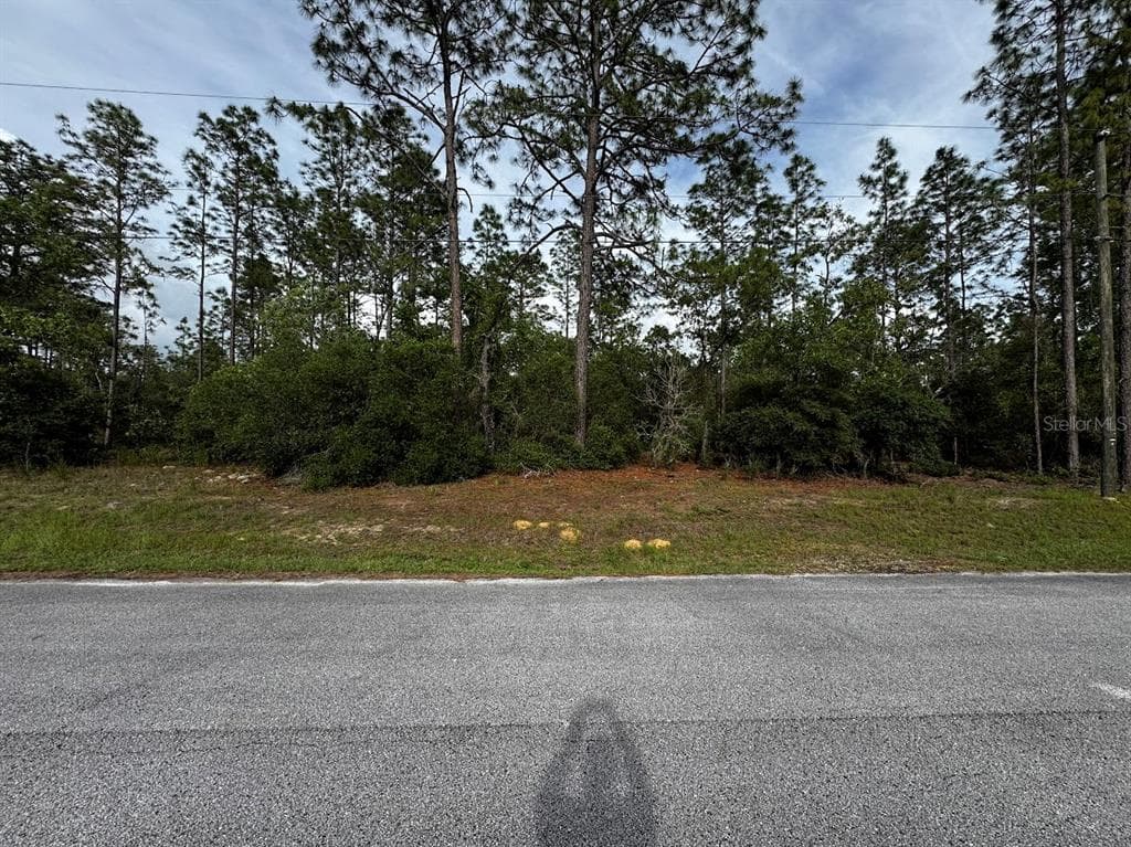 SW 207TH COURT DUNNELLON, FL 34432