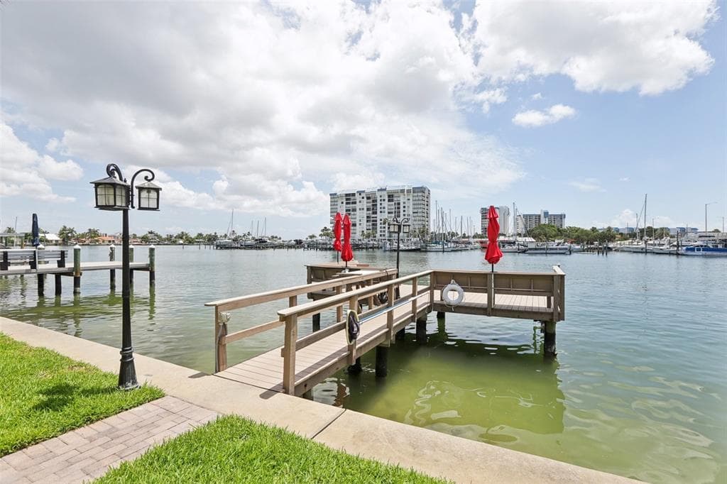 9715 HARRELL AVE UNIT 29 TREASURE ISLAND, FL 33706
