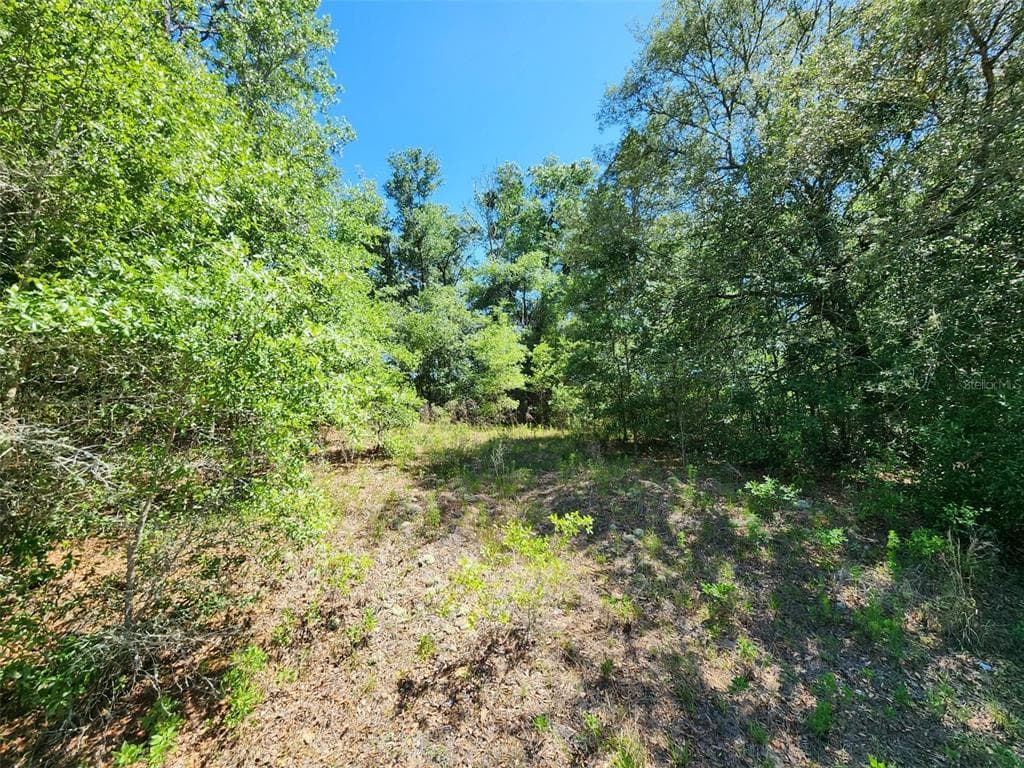 SW MARINE BOULEVARD DUNNELLON, FL 34431