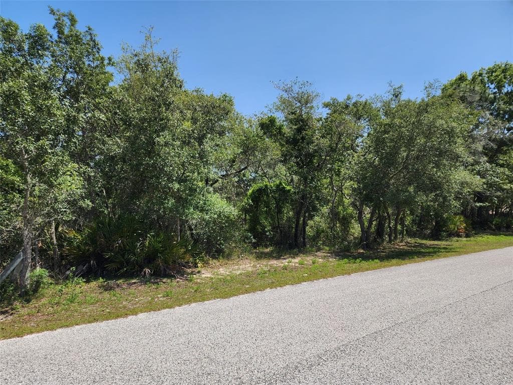 10389 MARVISTA COURT WEEKI WACHEE, FL 34614