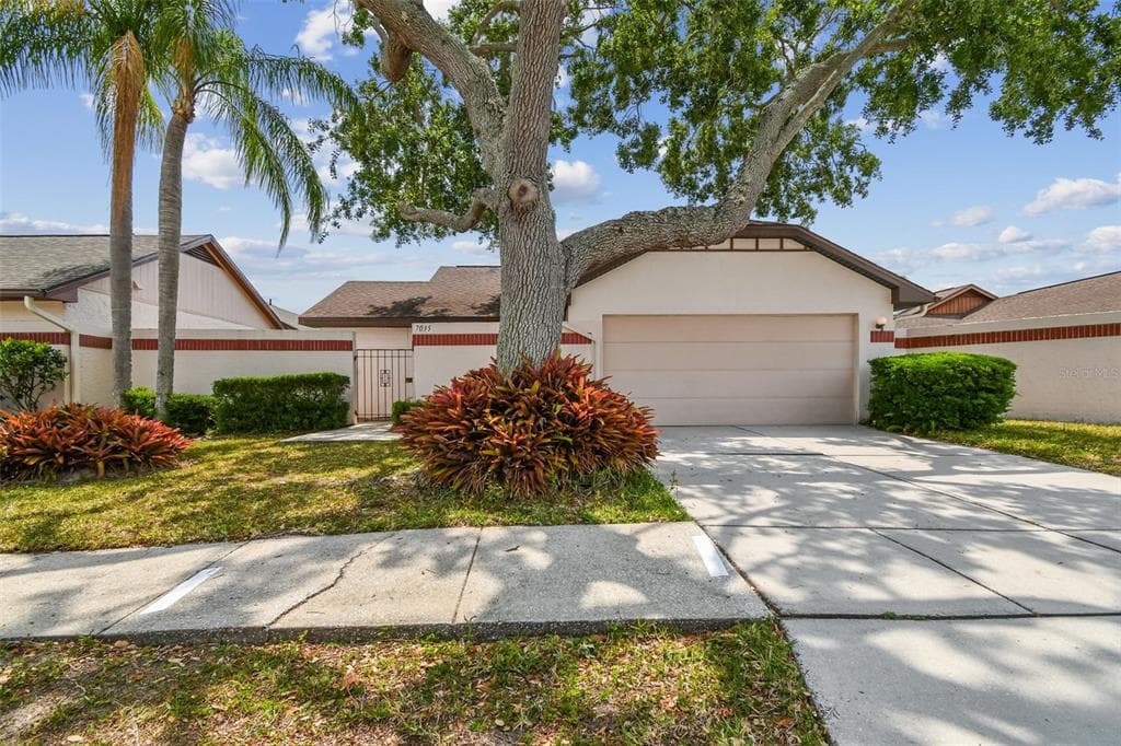 7035 DRURY STREET TAMPA, FL 33635