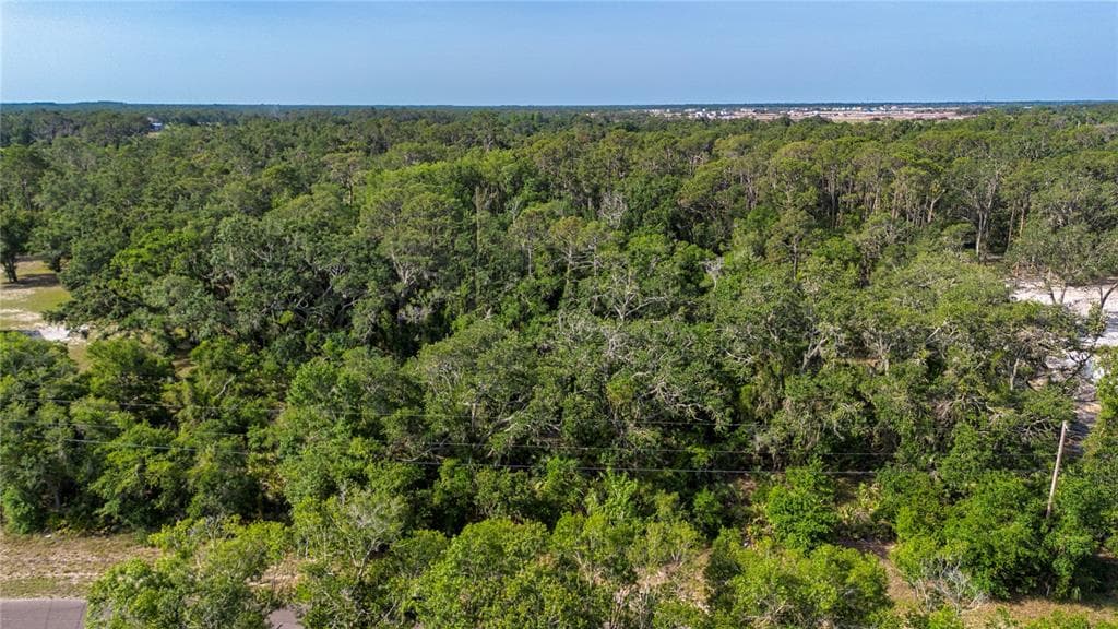 BUTCH CASSIDY TRAIL WIMAUMA, FL 33598