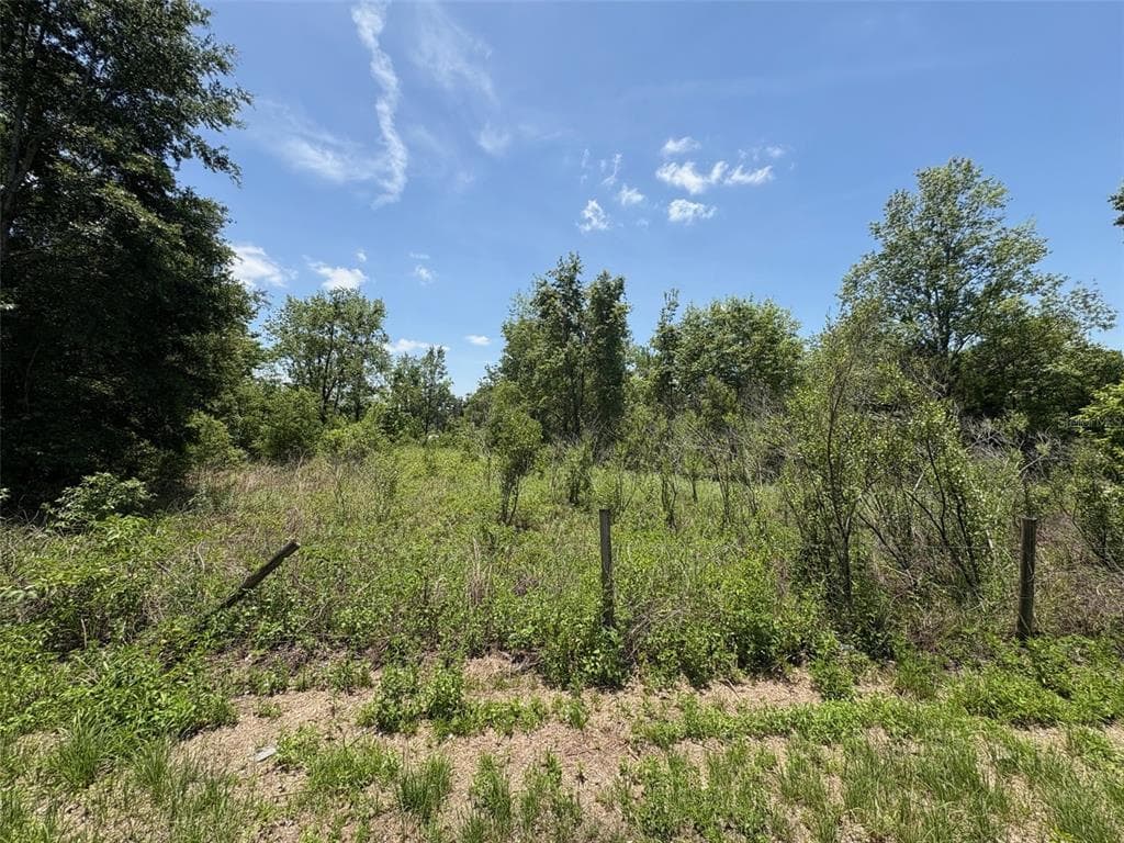 BLANTON ROAD DADE CITY, FL 33523
