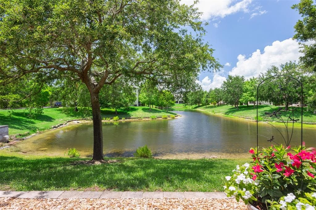 542 HARBOR RIDGE DRIVE PALM HARBOR, FL 34683