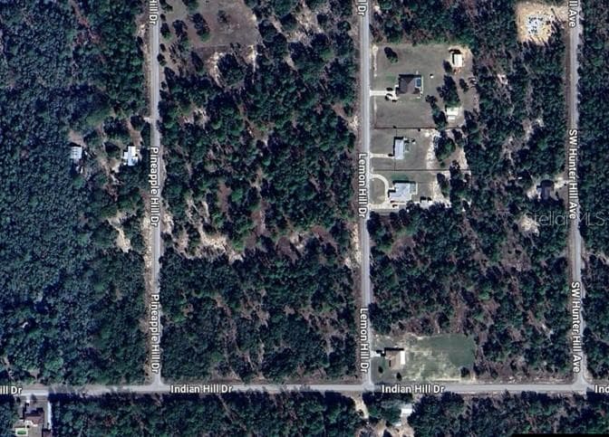 SW LEMON HILL DRIVE DUNNELLON, FL 34431