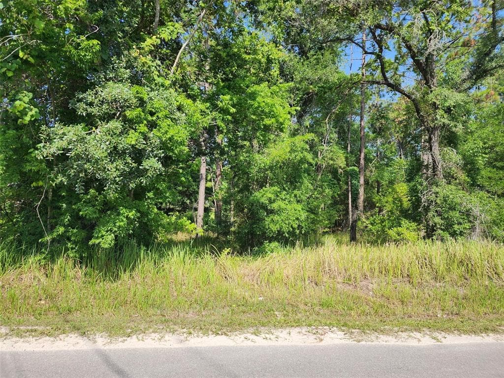 SW 159TH COURT OCALA, FL 34481