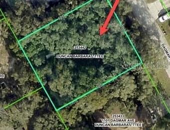 0 DAGMAR AVE SPRING HILL, FL 34606