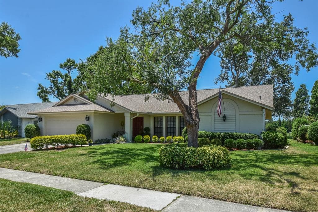 2517 BUCKNELL DRIVE VALRICO, FL 33596