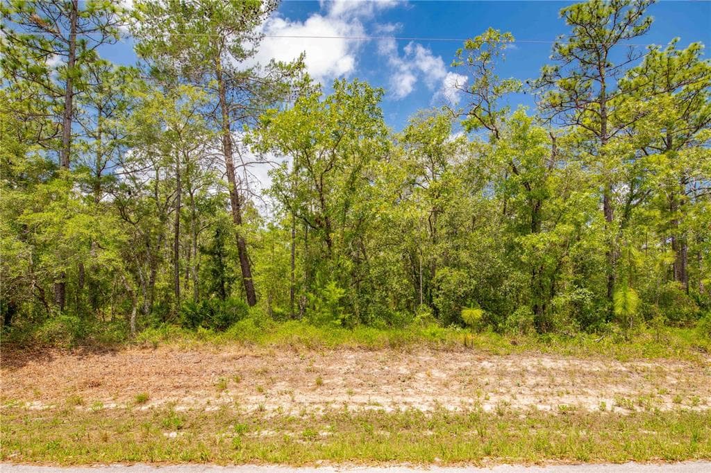 0 MOUNT SPARROW ROAD WEEKI WACHEE, FL 34614