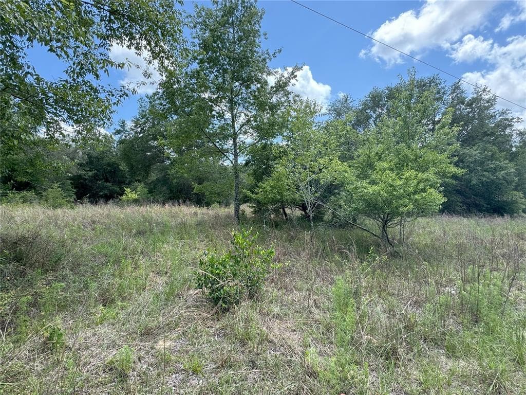 2211 MADISON STREET INVERNESS, FL 34453