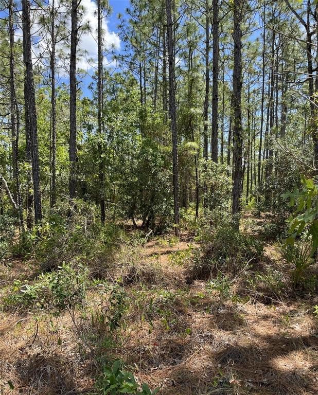 00 POMP {LOT7003} PARKWAY WEEKI WACHEE, FL 34614
